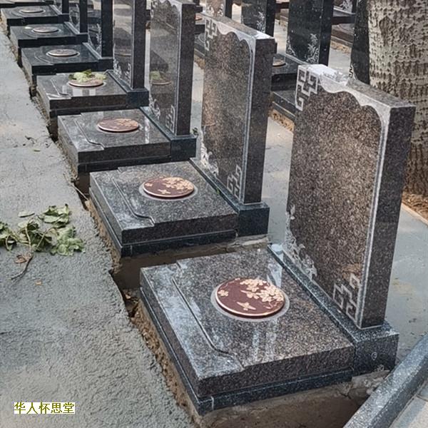病龙格_0